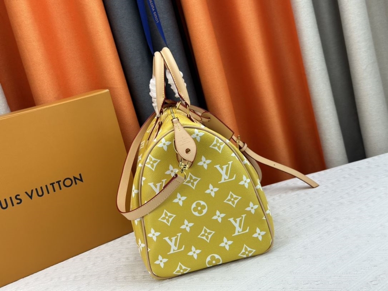 LV Travel Bags